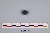 藏品(石燕及其他腕足動物)的圖片